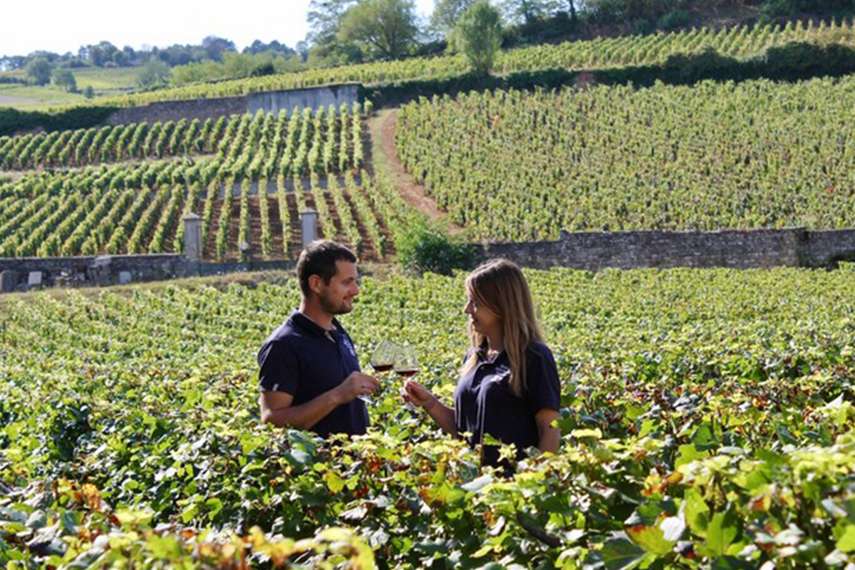 Pierre Arcelain at Domaine Michel Arcelain