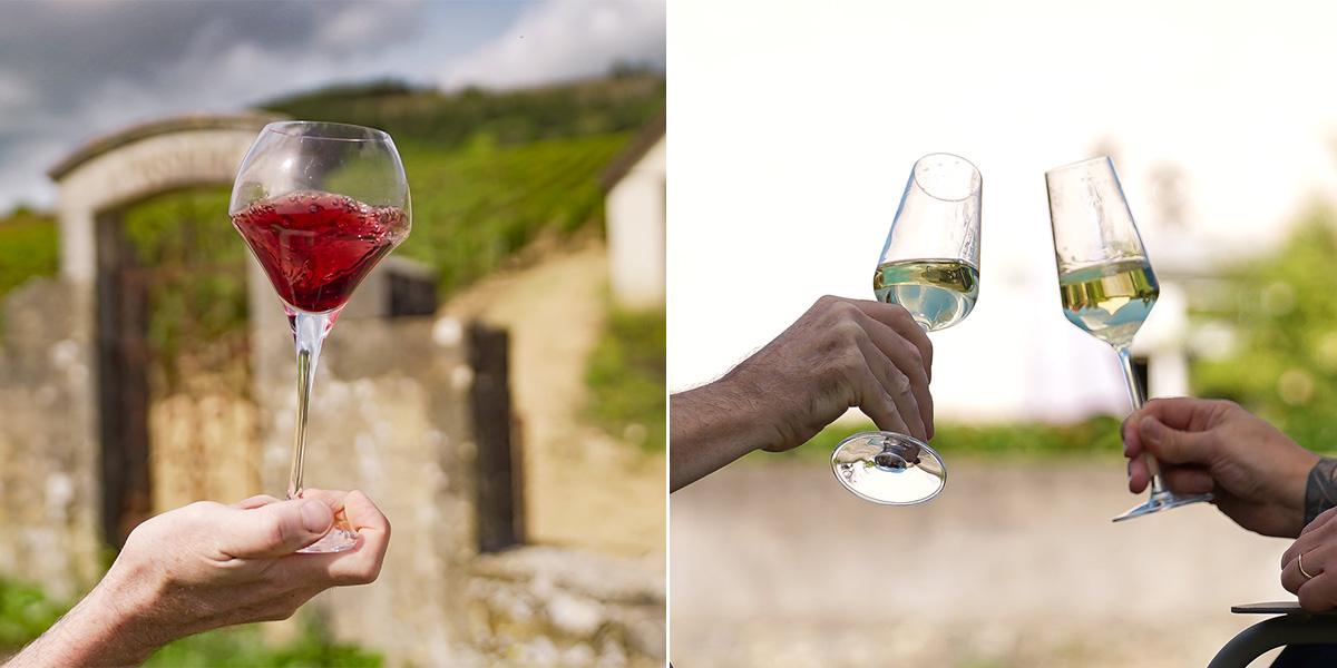 Red Burgundy glasses and Sparkling wine glasses