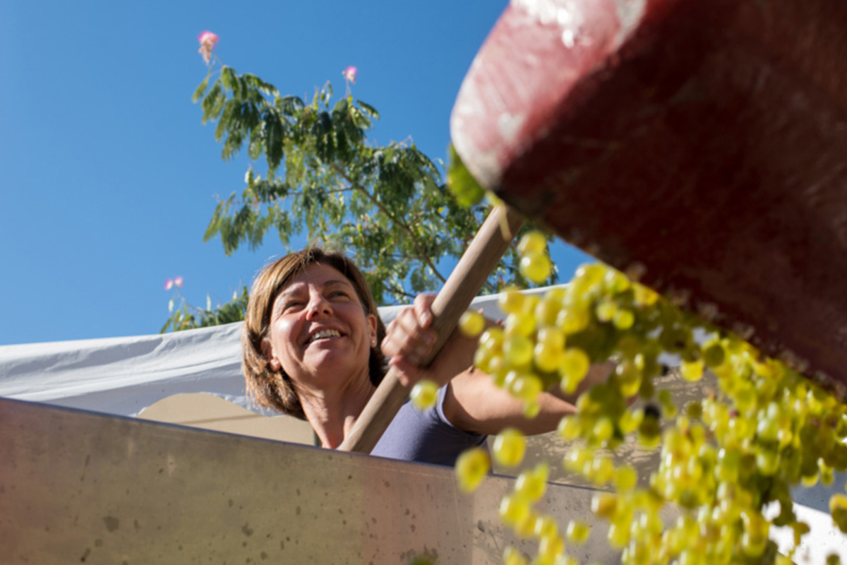 Wine Women of Burgundy - Agnes Paquet