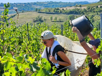 Domaine de Cromey Beaune 1er Cru Champimonts 2022 1